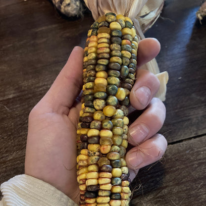Bunter Mehlmais