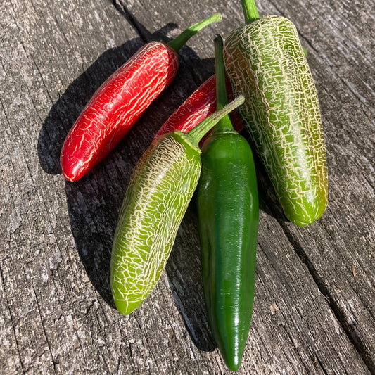 Jalapeño "Farmers Market"