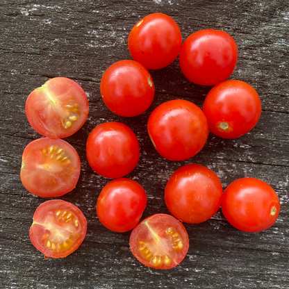 Tomate "Lady Aireen Sweetie Pie"