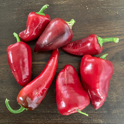 Freiland-Snackpaprika (Grex)