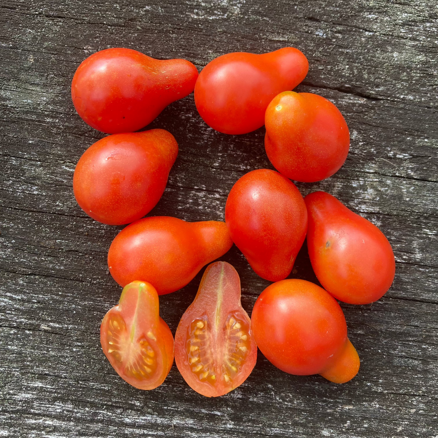 Tomate "Sibirisches Birnchen"
