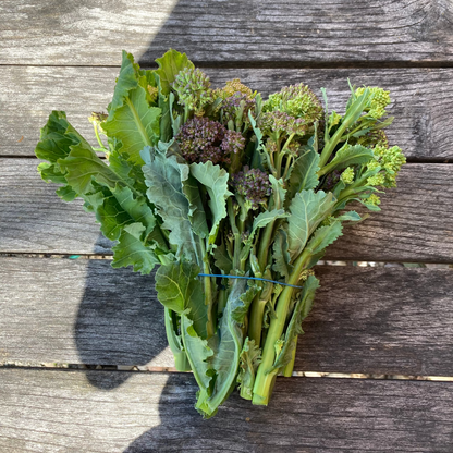 Sprouting Broccoli 