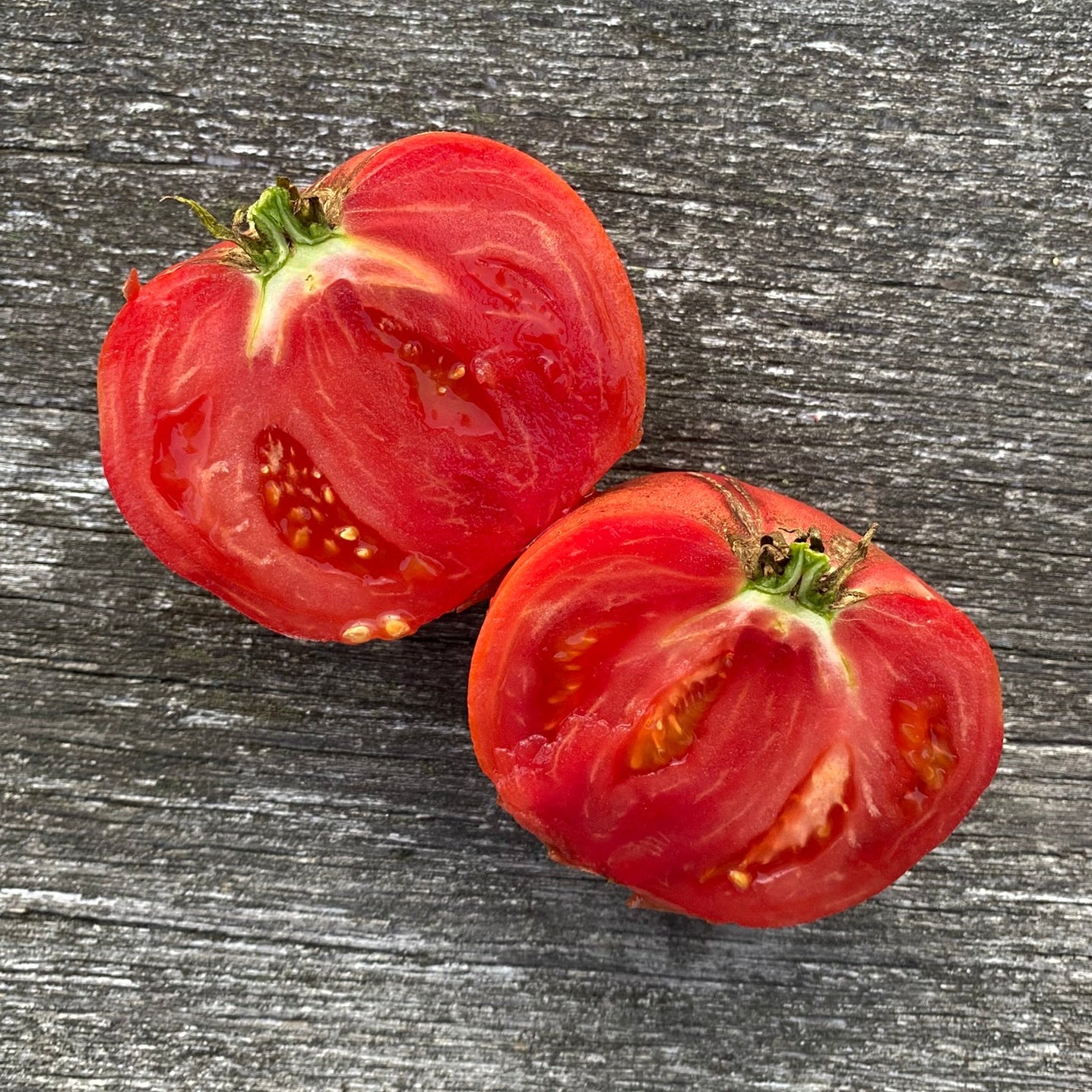 Tomate_Carbon