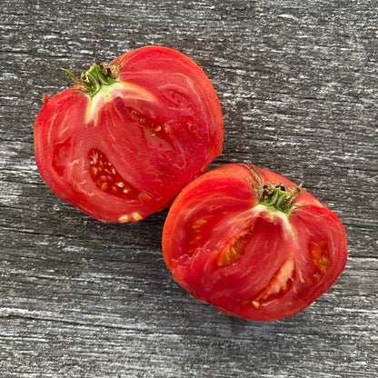 Tomate_Carbon