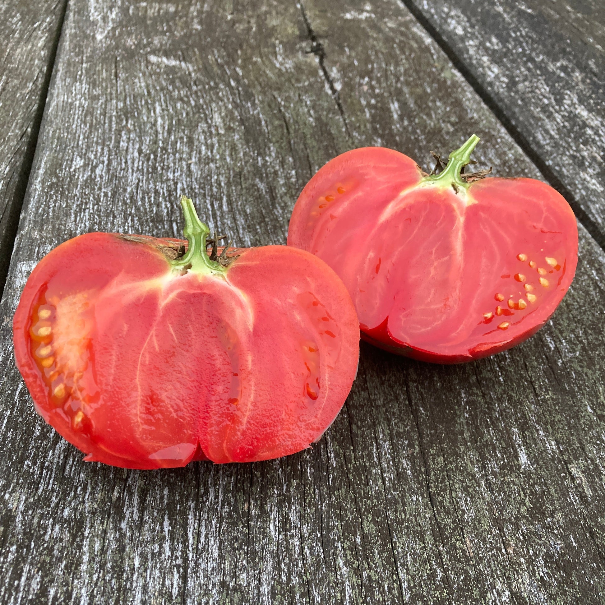 Tomate Nahuelbuta Pink