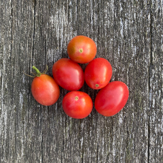 Tomate Rosalita