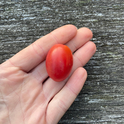 Tomate Rosalita